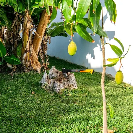 Fresa Villa